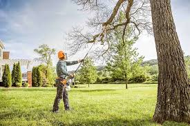 Best Lawn Watering Services  in Minneapolis, KS
