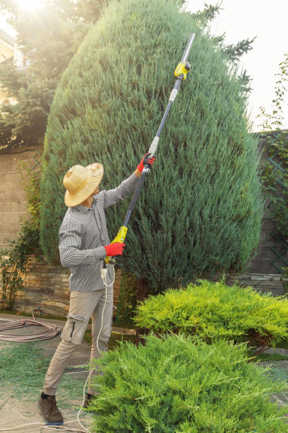 Best Lawn Drainage Solutions  in Minneapolis, KS
